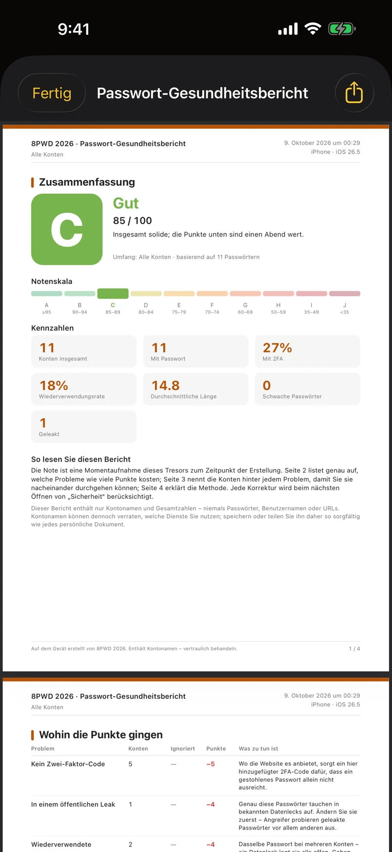 Der vierseitige PDF-Passwortstatistik-Bericht