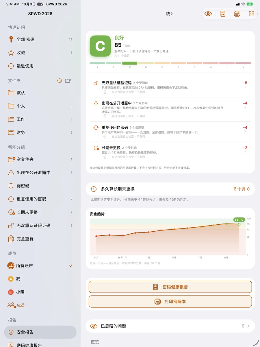 iPad：安全报告